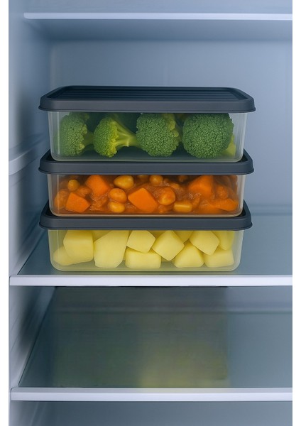 3'lü 2,5l Dikdörtgen Derin Dondurucu Saklama Kabı 10'lu Set Buzluk Mikrodalga Gıda Gri Plastik Kap modelleri