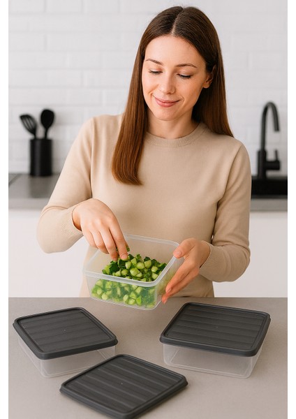 3'lü 2,5l Dikdörtgen Derin Dondurucu Saklama Kabı 10'lu Set Buzluk Mikrodalga Gıda Gri Plastik Kap indirimleri