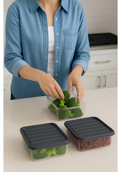 3'lü 2,5l Dikdörtgen Derin Dondurucu Saklama Kabı 10'lu Set Buzluk Mikrodalga Gıda Gri Plastik Kap