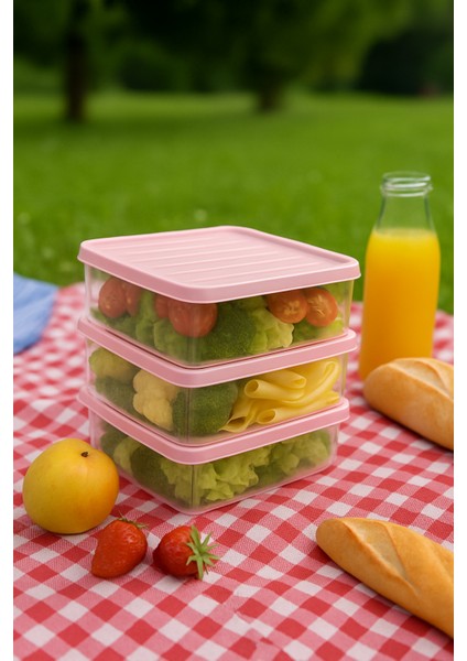 3'lü 2,5l Dikdörtgen Derin Dondurucu Saklama Kabı 10'lu Set Buzluk Mikrodalga Gıda Pembe Plastik Kap fiyatları