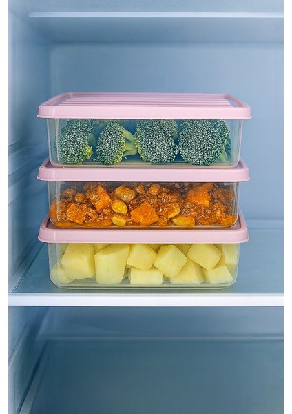 3'lü 2,5l Dikdörtgen Derin Dondurucu Saklama Kabı 10'lu Set Buzluk Mikrodalga Gıda Pembe Plastik Kap modelleri