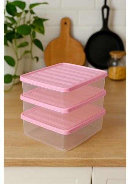 3'lü 2,5l Dikdörtgen Derin Dondurucu Saklama Kabı 10'lu Set Buzluk Mikrodalga Gıda Pembe Plastik Kap fırsatları