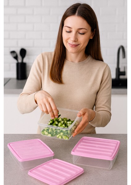 3'lü 2,5l Dikdörtgen Derin Dondurucu Saklama Kabı 10'lu Set Buzluk Mikrodalga Gıda Pembe Plastik Kap indirimleri