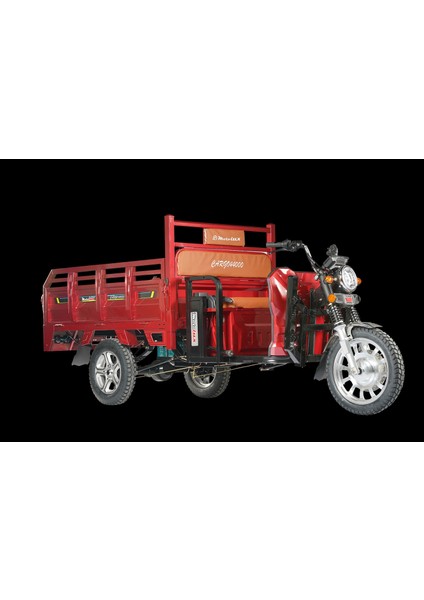 CARGO44000 Standart Elektrikli Motosiklet