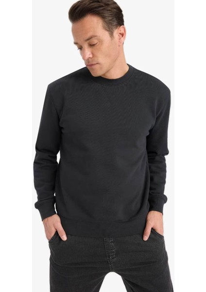 %100 Pamuk Regular Fit Bisiklet Yaka Antrasit Erkek Sweatshirt E8339AX/AR235 modelleri