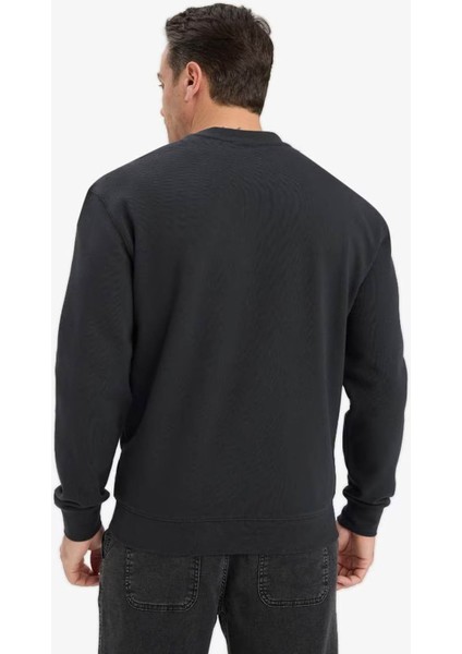 %100 Pamuk Regular Fit Bisiklet Yaka Antrasit Erkek Sweatshirt E8339AX/AR235 indirimleri