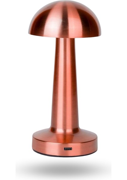 Büro Ev Ofis Hediyesi Için Şarjlı Dokunmatik 3renk LED Bronz Mantar Tarz Masa Lambası
