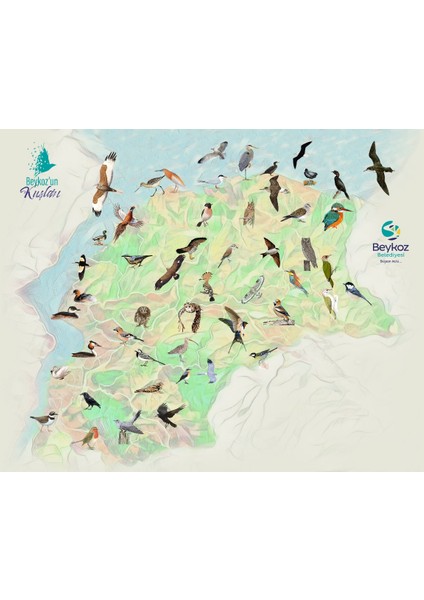 Beykoz'un Kuşları ve Tabiat Alanları Berat Akkaş, Arda Dönerkayalı, Umut Güngör ve Diğerleri... fiyatları