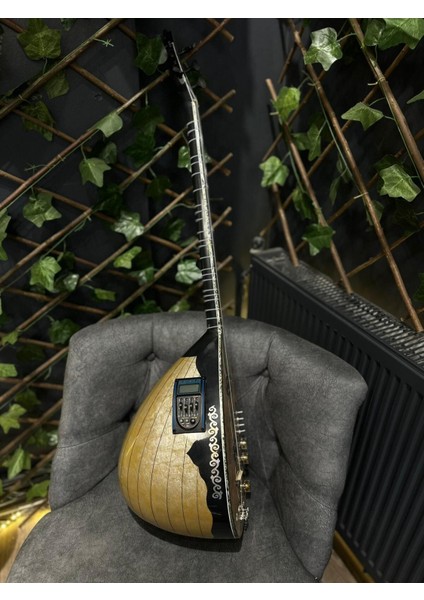 Ekolayzırlı Tam Profesyonel Kelebek Elektro Bağlama