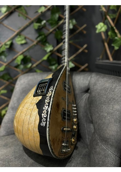 Ekolayzırlı Tam Profesyonel Kelebek Elektro Bağlama fiyatları