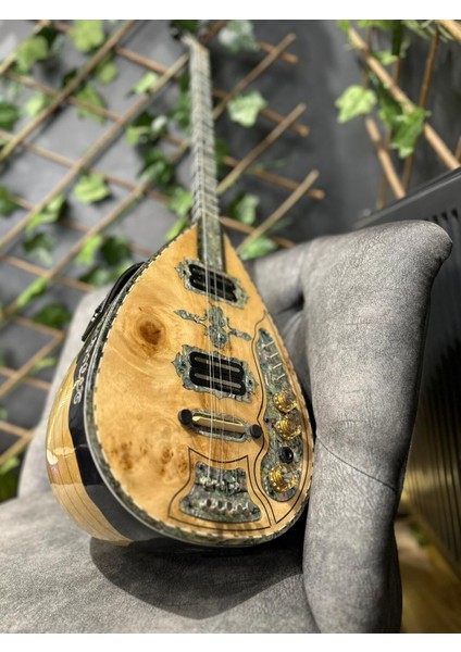 Ekolayzırlı Tam Profesyonel Kelebek Elektro Bağlama modelleri