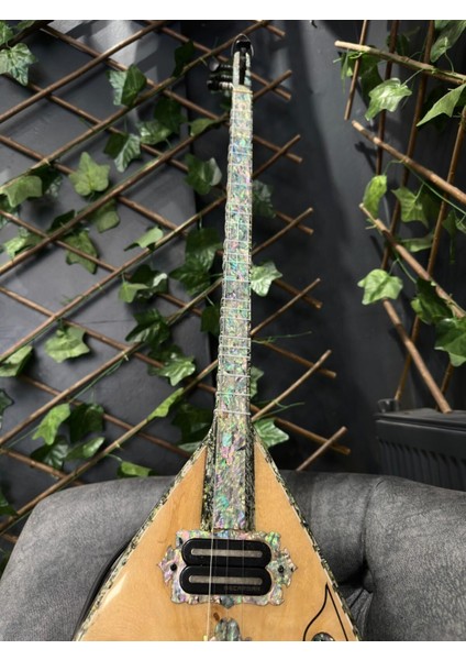 Ekolayzırlı Tam Profesyonel Kelebek Elektro Bağlama indirimleri