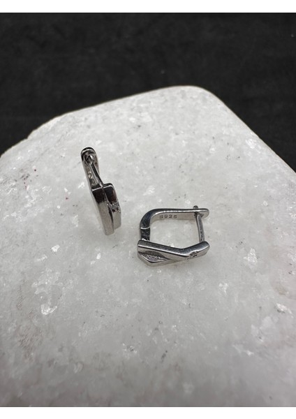 Tek Minik Taşlı Asimetrik Ithal Kadın Gümüş Küpe fiyatları