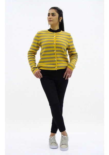 Renkli Çizgili Triko Kısa Hırka