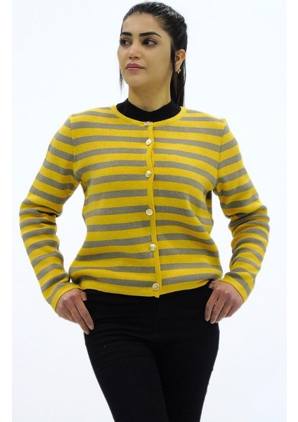 Renkli Çizgili Triko Kısa Hırka fiyatları