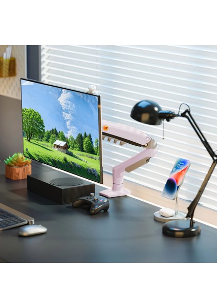 North Bayou F80 XJ (17-30 İnç) Monitör Standı Pembe - (9 kg’a Kadar 32 İnç Monitör Uyumlu)