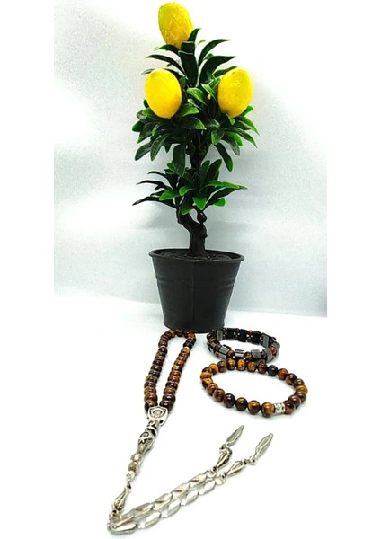 Kaplangözü Tesbih & Rolex Hematit Kaplangözü Bileklik & Kaplangözü Bileklik 3'lü Set Hediye Aksesuar