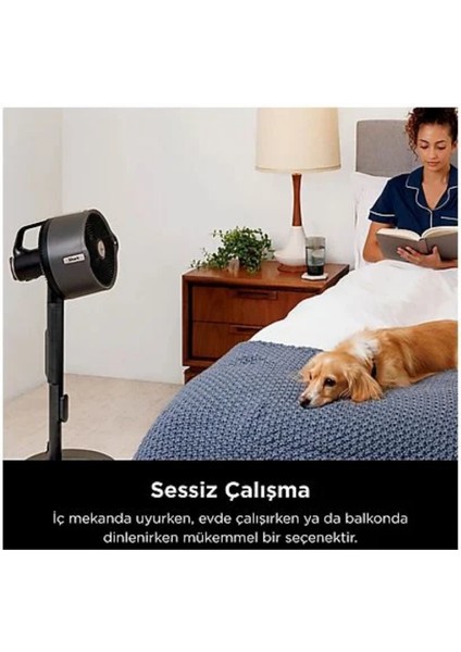 Flexbreeze Promist Taşınabilir Buharlı Fan Siyah