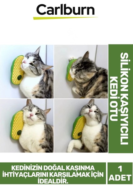 Premium Seri Yumuşak Çıkıntılı Yapı Yapışkanlı Silikon Kaşıyıcılı Kedi Otu