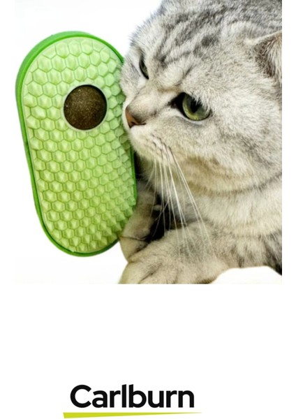 Premium Seri Yumuşak Çıkıntılı Yapı Yapışkanlı Silikon Kaşıyıcılı Kedi Otu modelleri