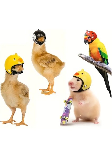 Kuş, Civciv, Tavuk, Yavru Ördek ve Papağan Için Mini Emniyet Kaskı