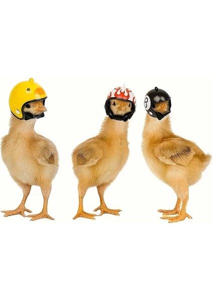 Kuş, Civciv, Tavuk, Yavru Ördek ve Papağan Için Mini Emniyet Kaskı