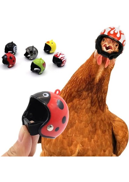 Kuş, Civciv, Tavuk, Yavru Ördek ve Papağan Için Mini Emniyet Kaskı