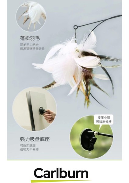 Premium Interaktif Sabitlenebilen Tırmalama Yakalama Itme Vantuzlu Tüylü Zilli Kedi Oyun Oltası modelleri