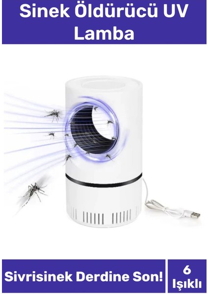 Premium Sessiz Yükseltmiş Güç 6 Uv Işık Elektrikli Uv Sinek Sivrisinek Haşere Öldürücü Lamba