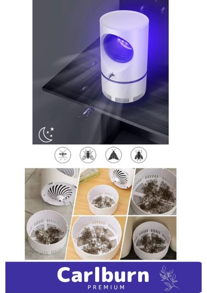 Premium Sessiz Yükseltmiş Güç 6 Uv Işık Elektrikli Uv Sinek Sivrisinek Haşere Öldürücü Lamba indirimleri