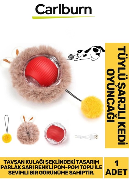 Premium Seri Küçük Boyutlu Yumuşak Tüylü USB Şarjlı Kedi Oyuncağı