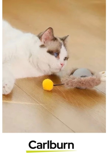 Premium Seri Küçük Boyutlu Yumuşak Tüylü USB Şarjlı Kedi Oyuncağı fırsatları