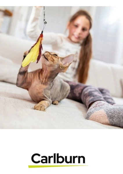 Özel Üretim Dayanıklı Bükülebilir Avcılık Içgüdüsü Teleskopik Zilli Tüylü Kedi Oyuncağı fırsatları