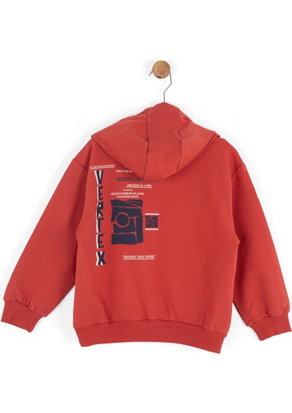 Erkek Çocuk Swaetşirt 4-8 Yaş 49501 fiyatları