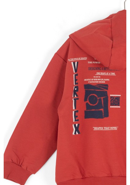 Erkek Çocuk Swaetşirt 4-8 Yaş 49501 modelleri