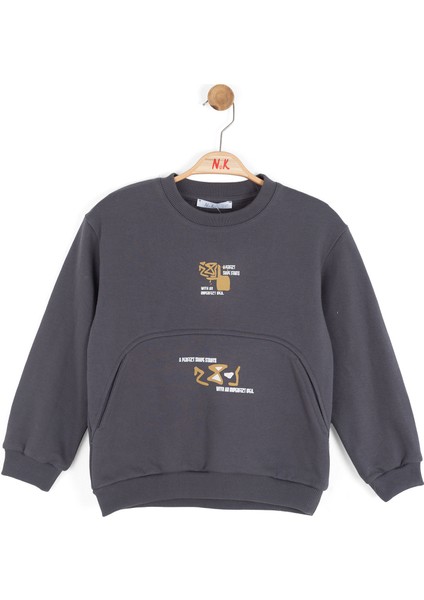 Erkek Çocuk Swaetşirt 4-8 Yaş 49507