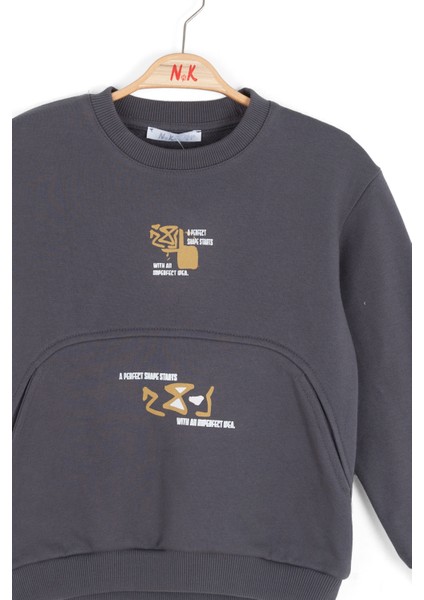 Erkek Çocuk Swaetşirt 4-8 Yaş 49507 fiyatları