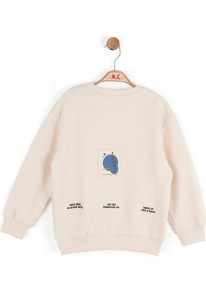 Erkek Çocuk Swaetşirt 4-8 Yaş 49509 fiyatları