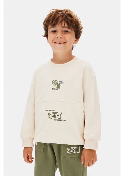 Erkek Çocuk Swaetşirt 4-8 Yaş 49507 fiyatları