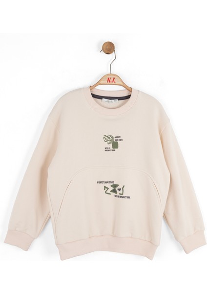 Erkek Çocuk Swaetşirt 4-8 Yaş 49507 modelleri