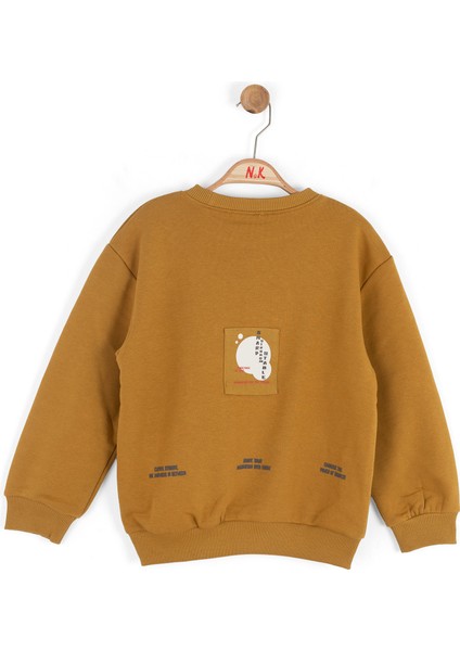 Erkek Çocuk Swaetşirt 4-8 Yaş 49509 indirimleri