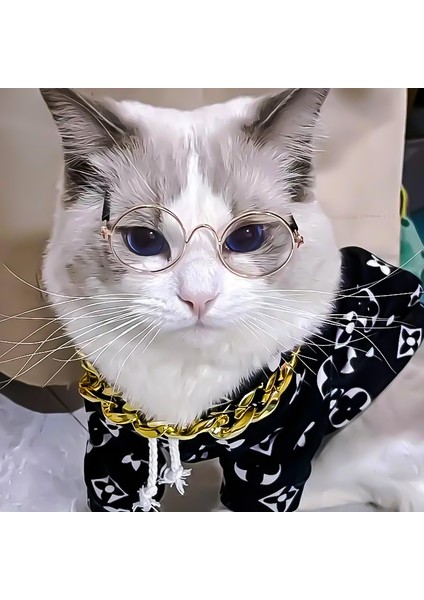 Kedi ve Köpek Için Şeffaf Havalı Gözlük fiyatları