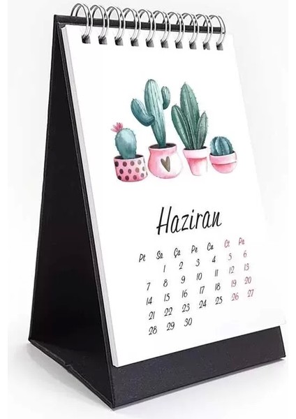 Kaktüs 2026 Masa Takvimi