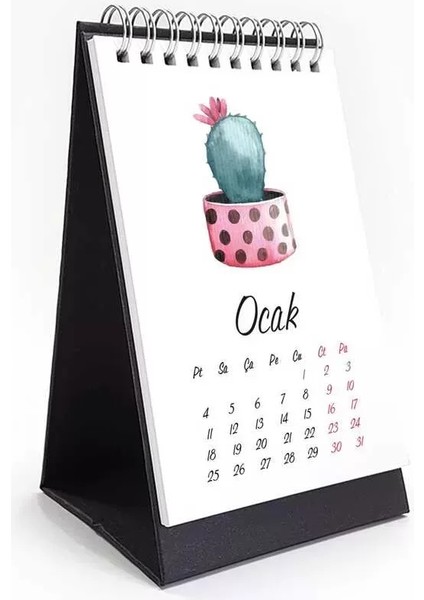 Kaktüs 2026 Masa Takvimi fiyatları