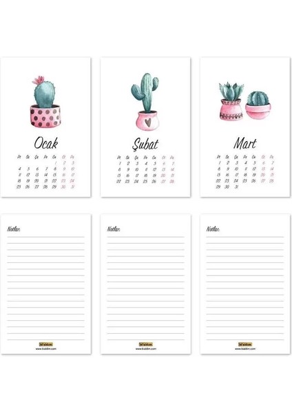 Kaktüs 2026 Masa Takvimi fırsatları