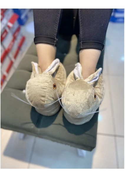 EV PANDUFU (KREM) fiyatları
