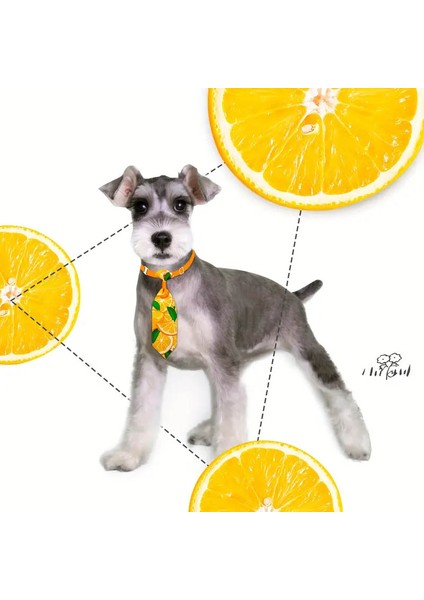 Kedi ve Köpek Için 2'li Ayarlanabilir Meyve Desenli Renkli Kravat fırsatları