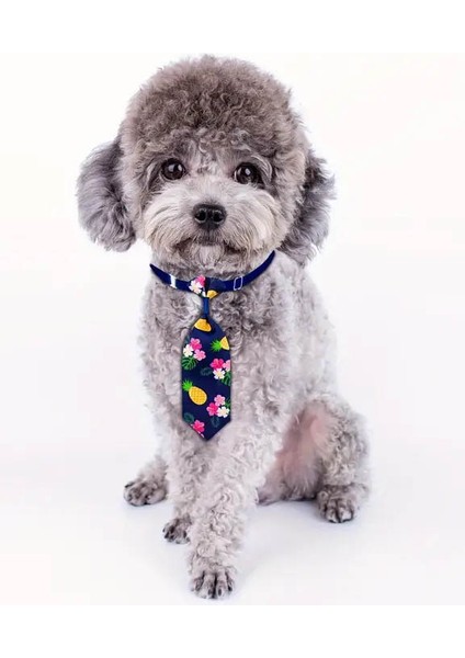 Kedi ve Köpek Için 2'li Ayarlanabilir Meyve Desenli Renkli Kravat