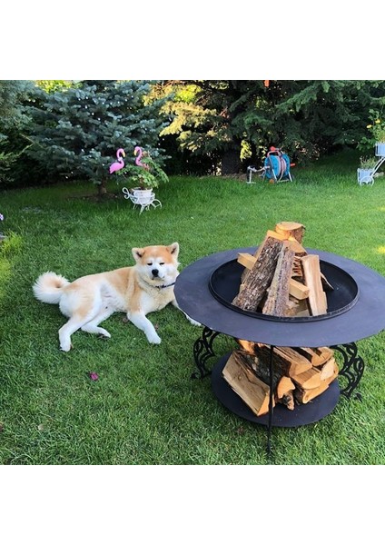Mayon Odunluklu Ateş Çukuru