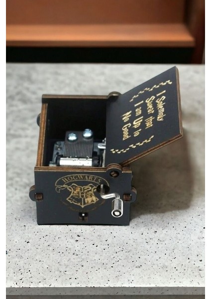 Harry Potter Ahşapm Çevirmeli Müzik Kutusu Hogwarts Yaşadığınızı Düşünün ve Hayal Edin